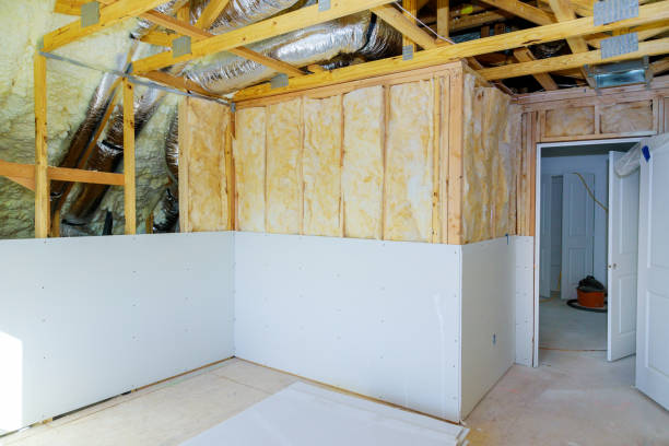 Best Insulation Removal  in Roseville, OH
